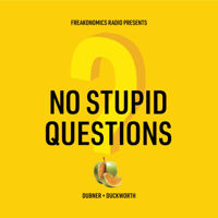 90) No Stupid Questions